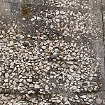 TEX_4071