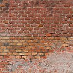 TEX_4101