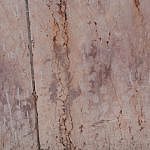 TEX_4160