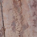 TEX_4161