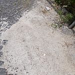 TEX_4220
