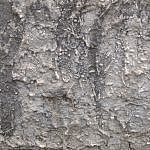 TEX_4223