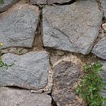 TEX_4250