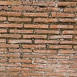 TEX_4325
