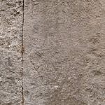 TEX_4335