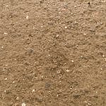 TEX_4445