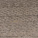 TEX_4835