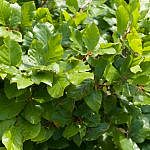 TEX_4891