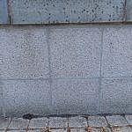 TEX_4923