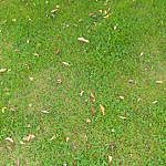 TEX_4957