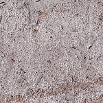 TEX_4991