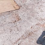 TEX_4993