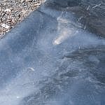 TEX_5003