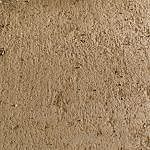 TEX_5027