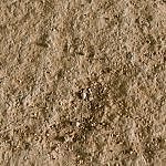 TEX_5030