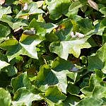 TEX_5140